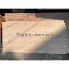 TRIPLEK 5 MM ALBA